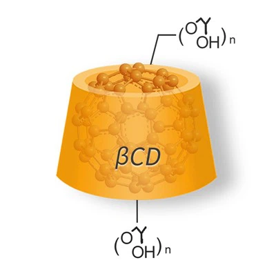 Fulleren Inclusion Complex